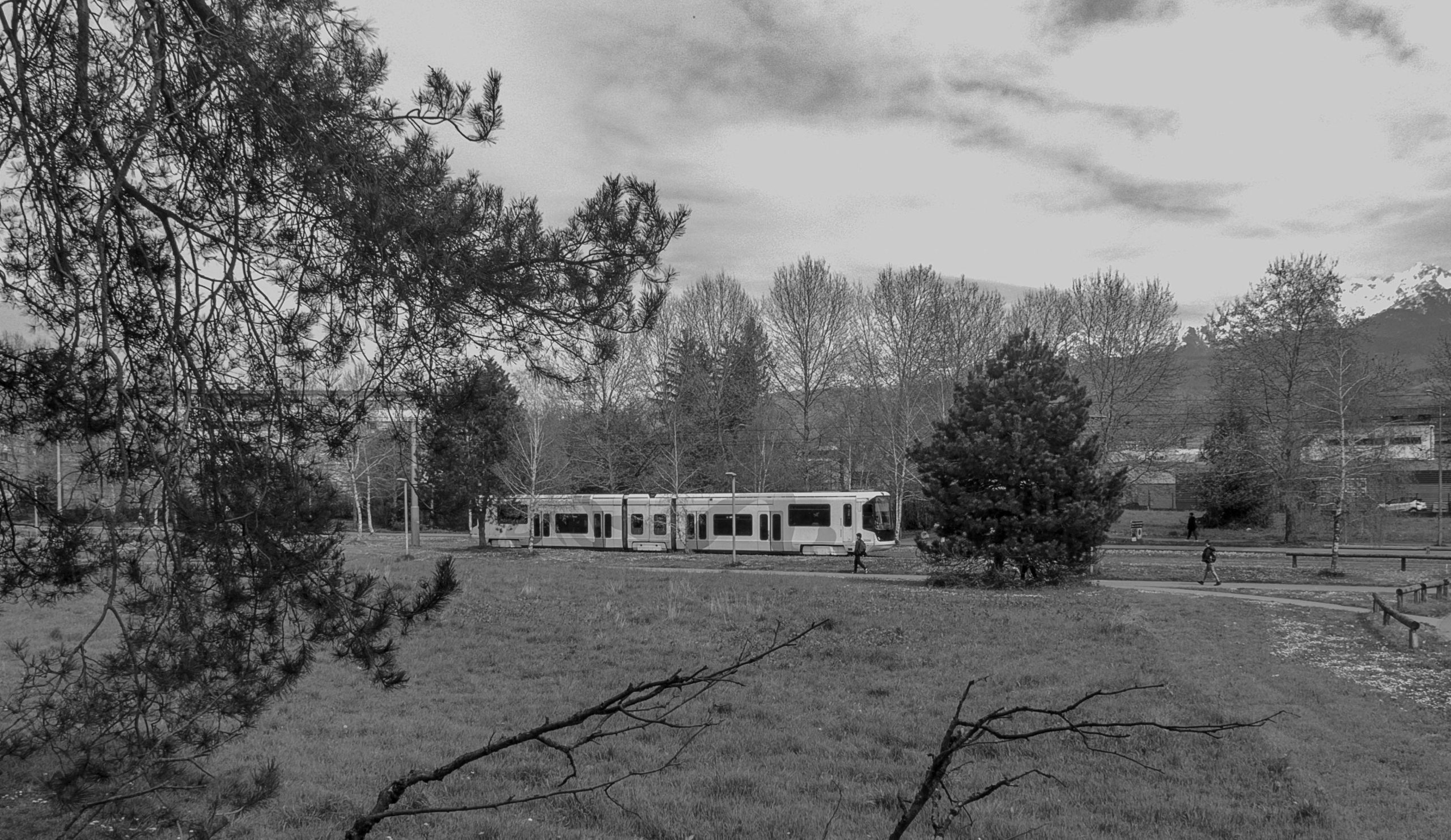 Photo Tram 1/3
