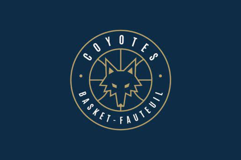 COYOTES BASKET-FAUTEUIL